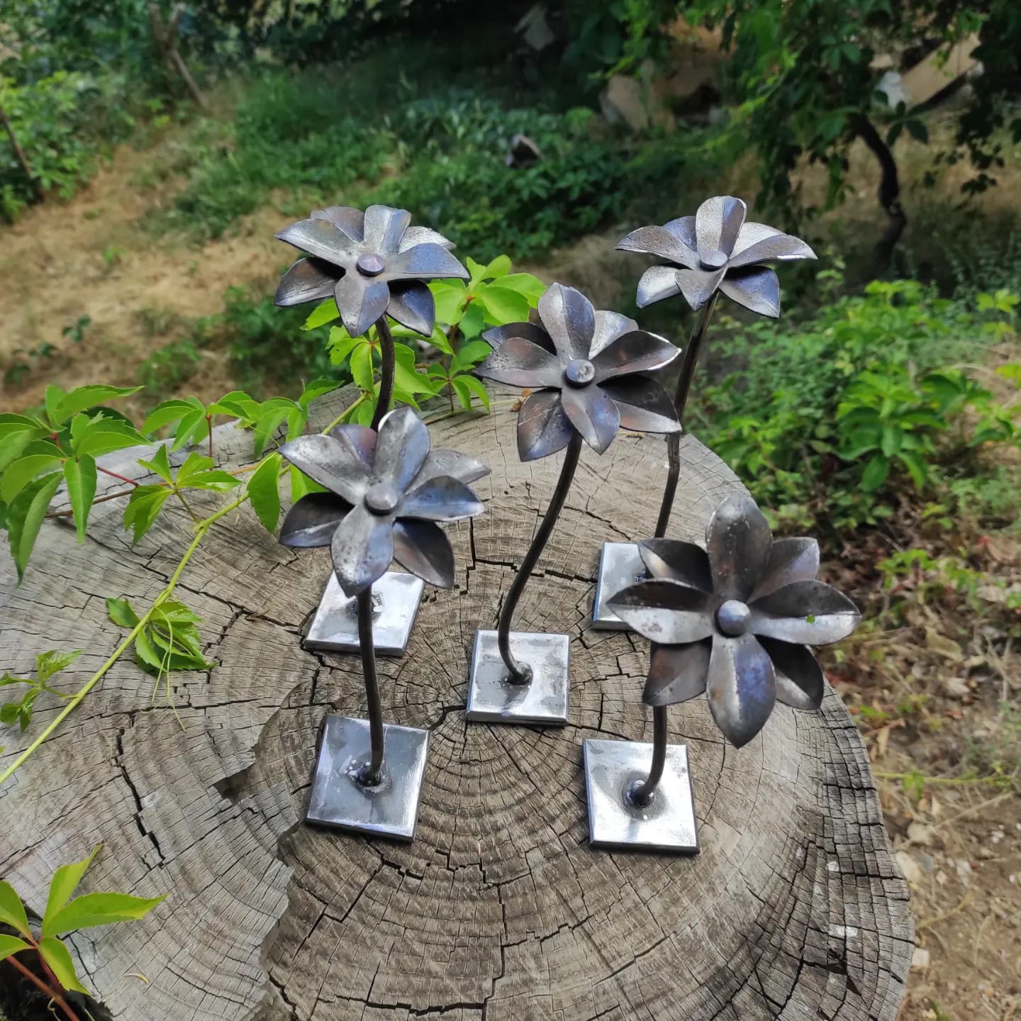 Fleurs d'acier